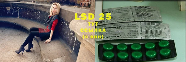 PSILOCYBIN Алзамай