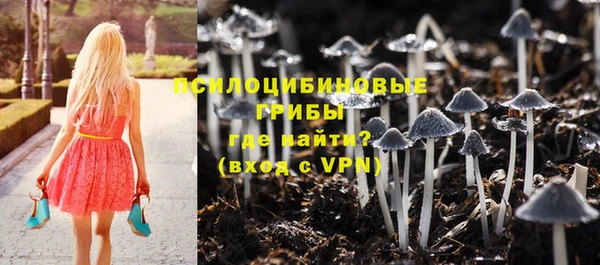 соль курить ск Алексеевка