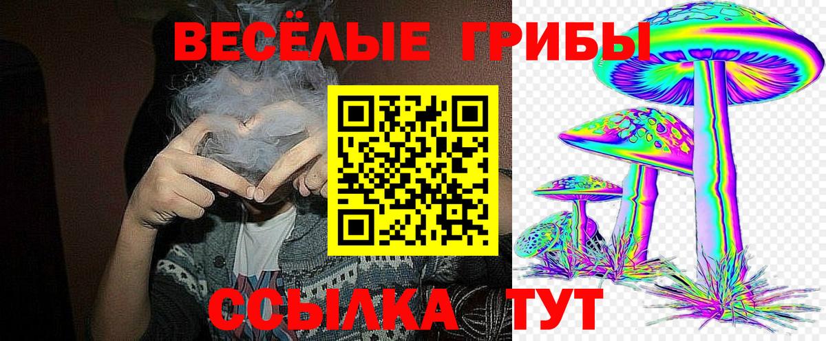 Псилоцибиновые грибы Psilocybine cubensis  Вход с VPN  Галлюциногенные грибы Psilocybe  Лобня 