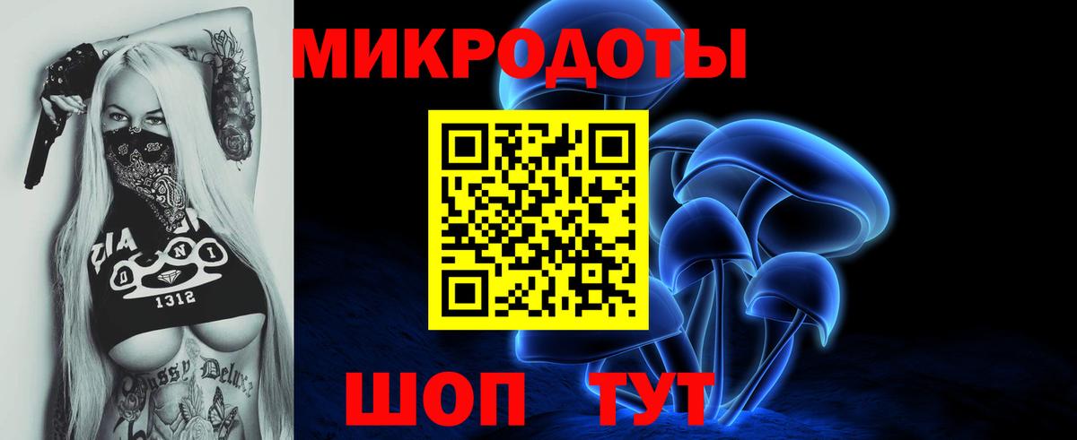 Псилоцибиновые грибы Cubensis Лобня